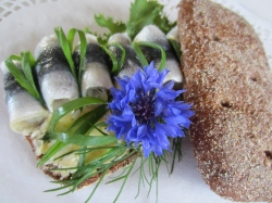 Rye bread with herring roll